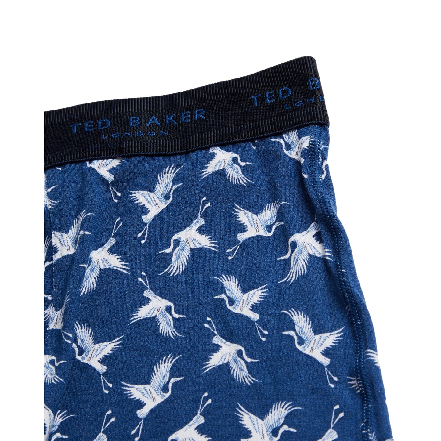 Men Crainez-Rtbj113977Bl2 Modal Printed Boxer Brief - Blue
