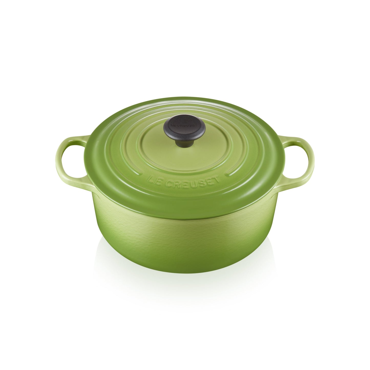 Signature Round Casserole/oven 22cm - Kiwi