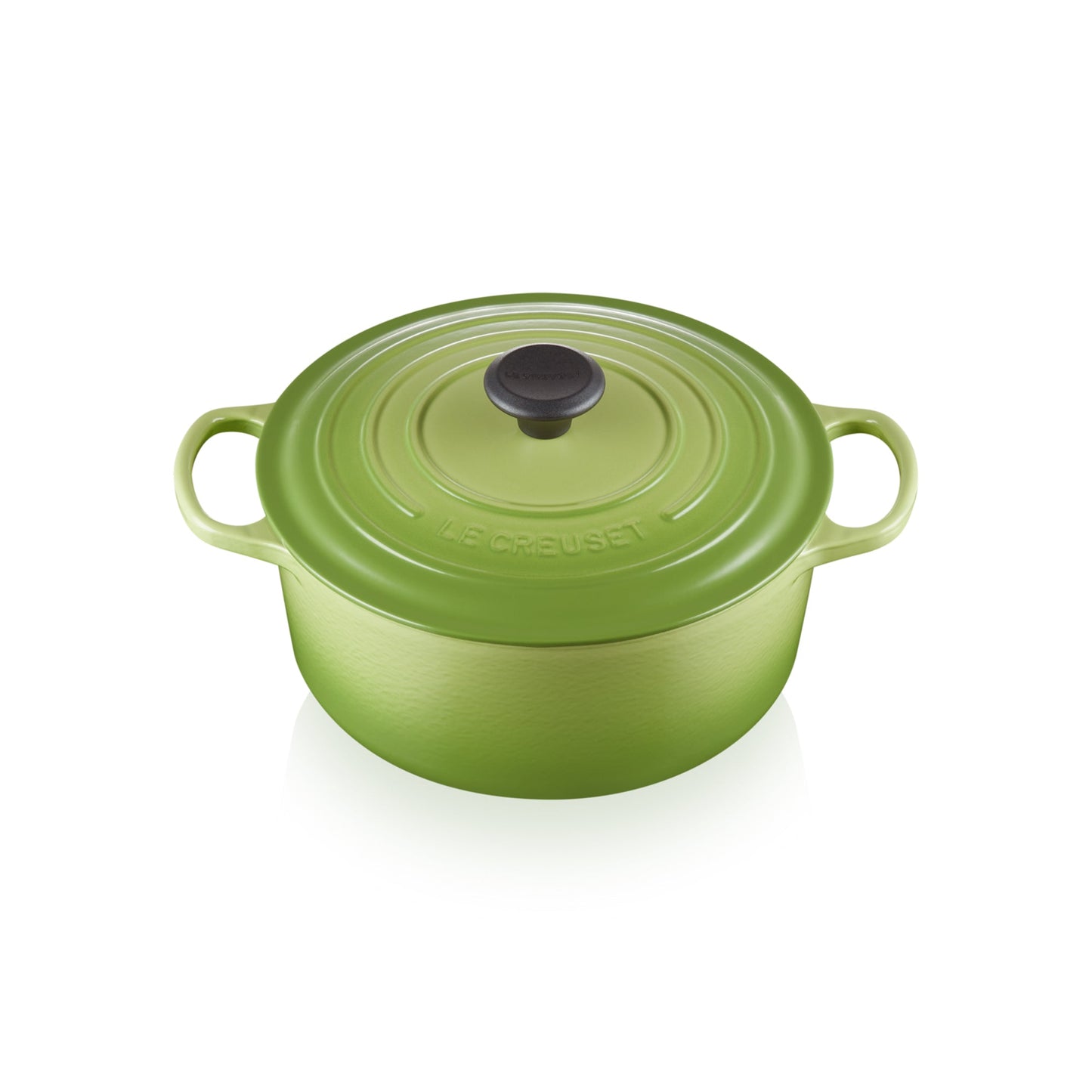 Signature Round Casserole/oven 20cm - Kiwi