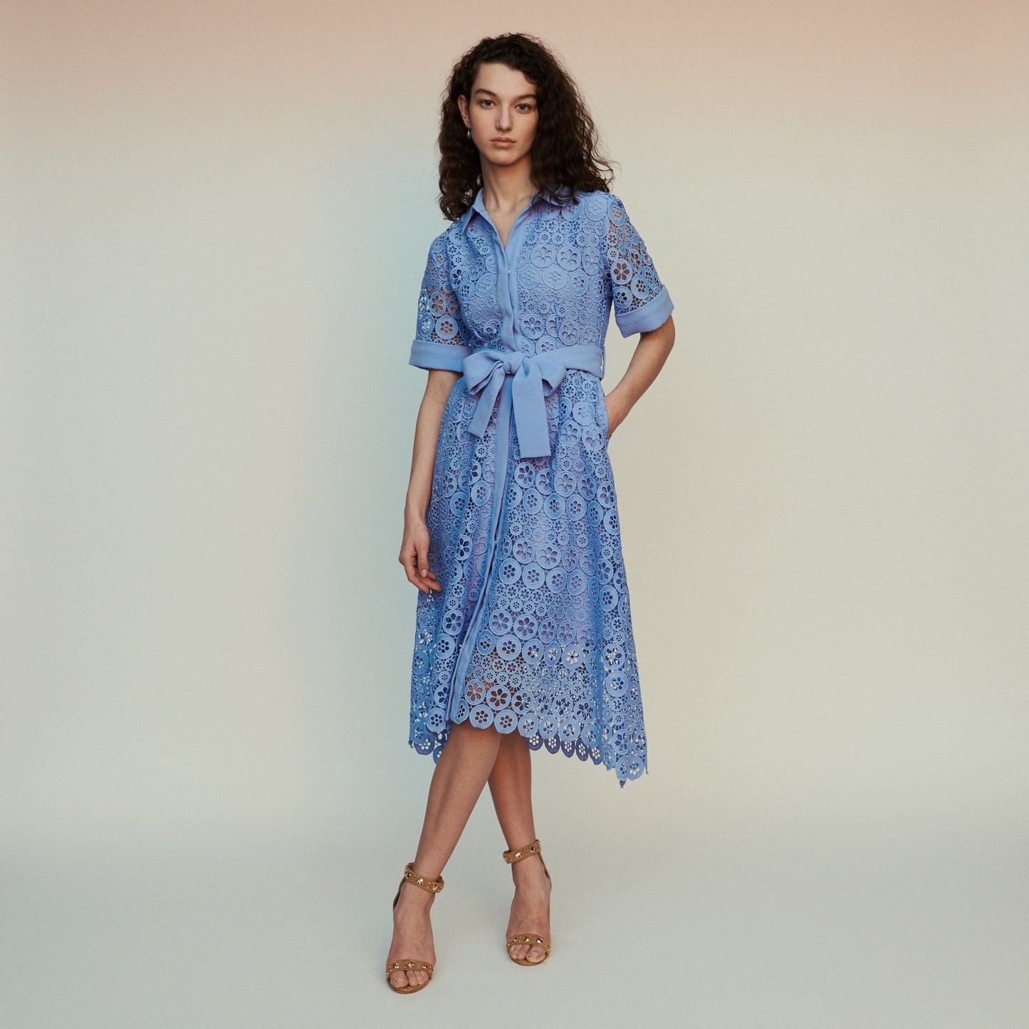 Short Sleeves Guipure Dress - Blue