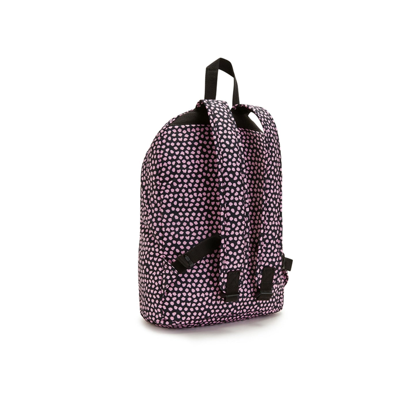 Reposa L Appaloosa Dot P