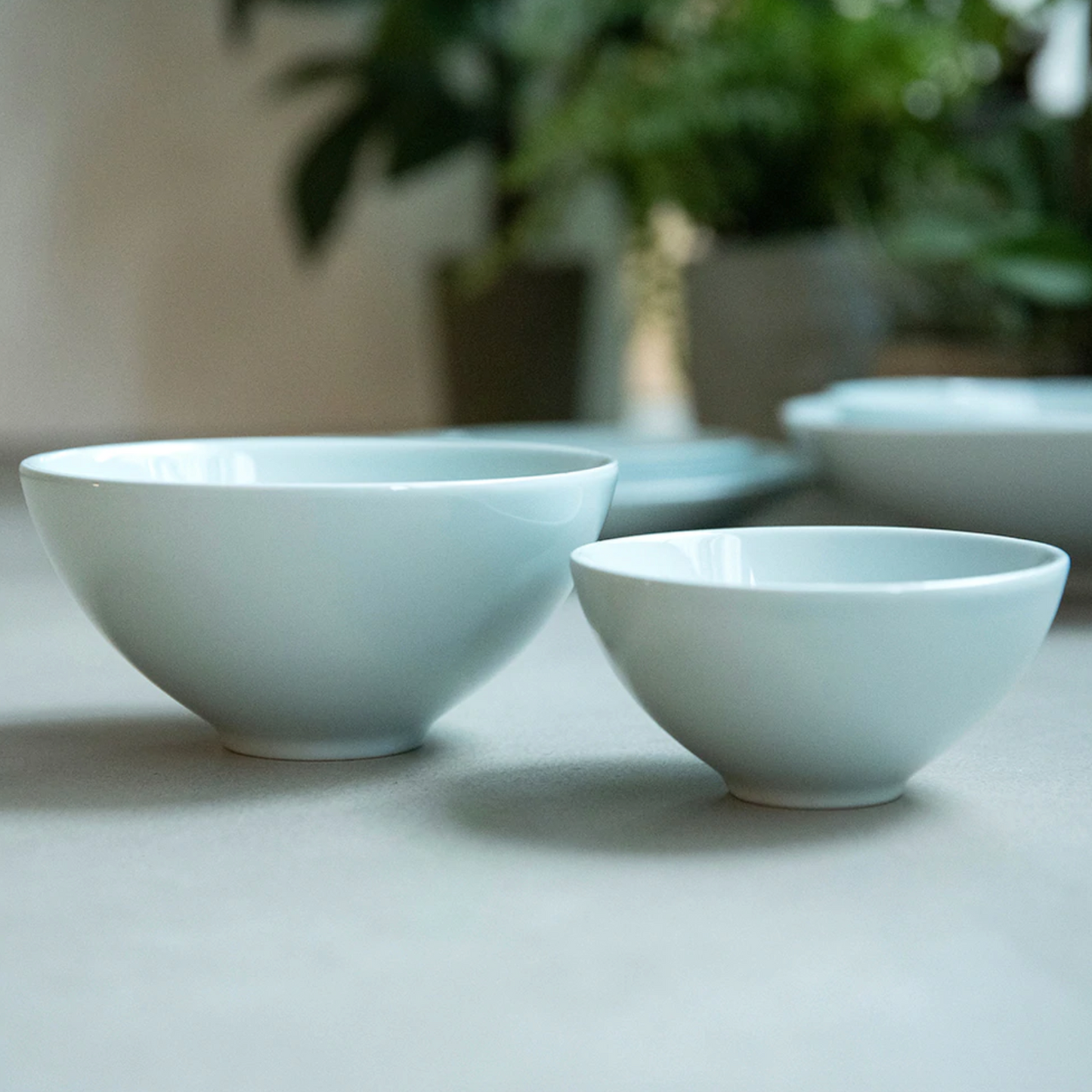 Test - Blue Rice Bowl